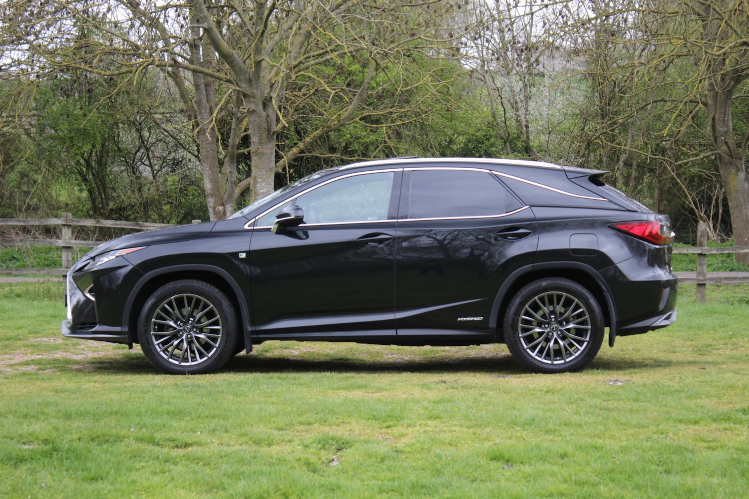 Used Lexus RX 2019 for sale - 78083837: Photo 5