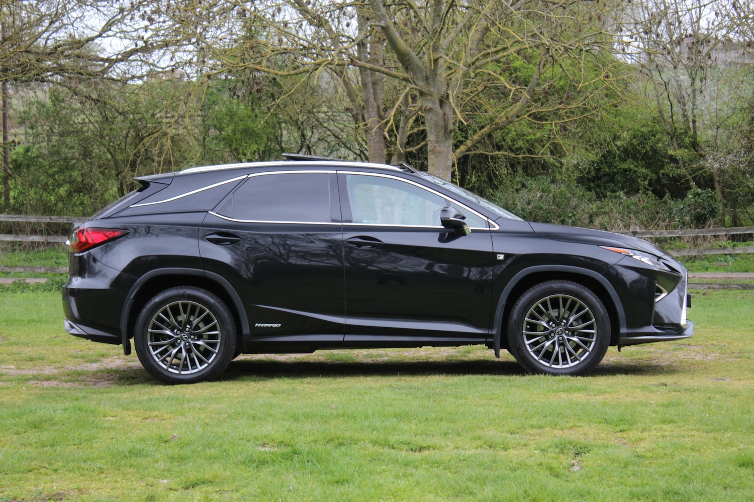 Used Lexus RX 2019 for sale - 78083837: Photo 6