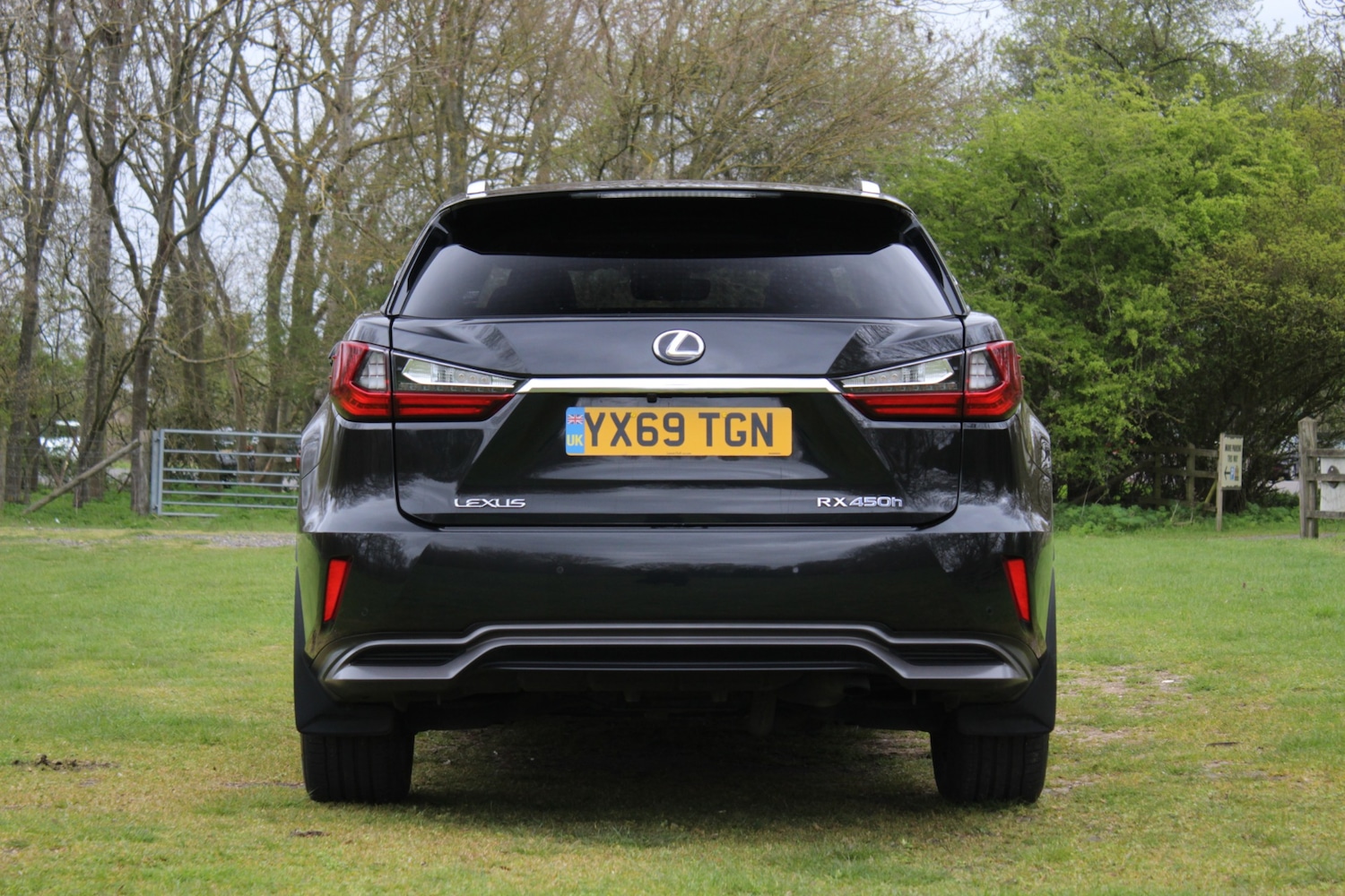 Used Lexus RX 2019 for sale - 78083837: Photo 8