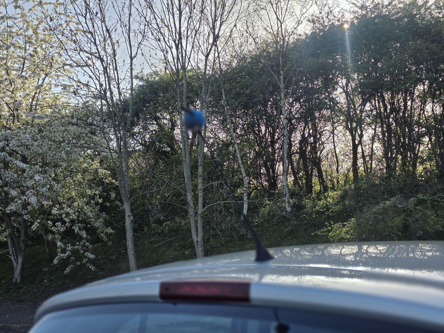 Used Vauxhall Corsa 2014 for sale - 78184462: Photo 34