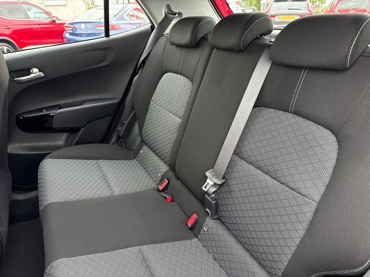 Used Kia Picanto for sale - 76193682: Photo 11