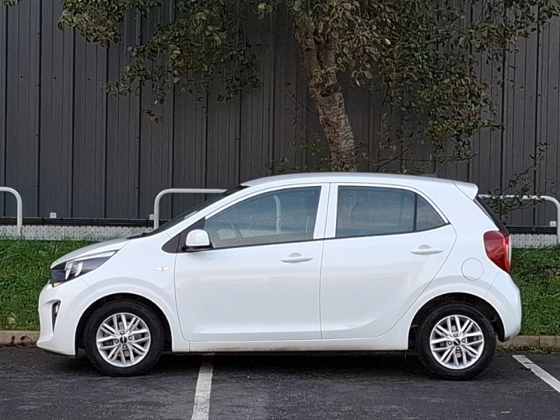 Used Kia Picanto 2023 for sale - 77234801: Photo 4