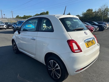 Used Fiat 500 2017 for sale - 79481661: Photo