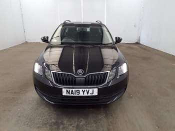 Used Skoda Octavia 2019 for sale - 75171024: Photo