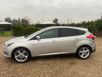 Used Ford Focus 2015 for sale - 75000256: Photo
