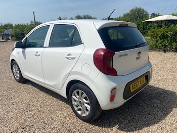Used Kia Picanto 2017 for sale - 78760546: Photo