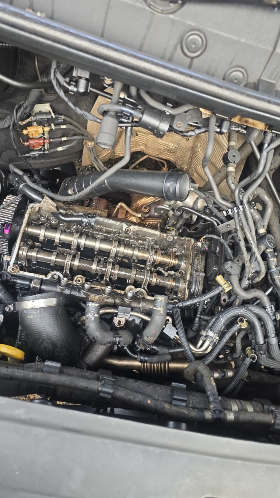 Used MAN TGE 2019 for sale - 77012295: Photo 14