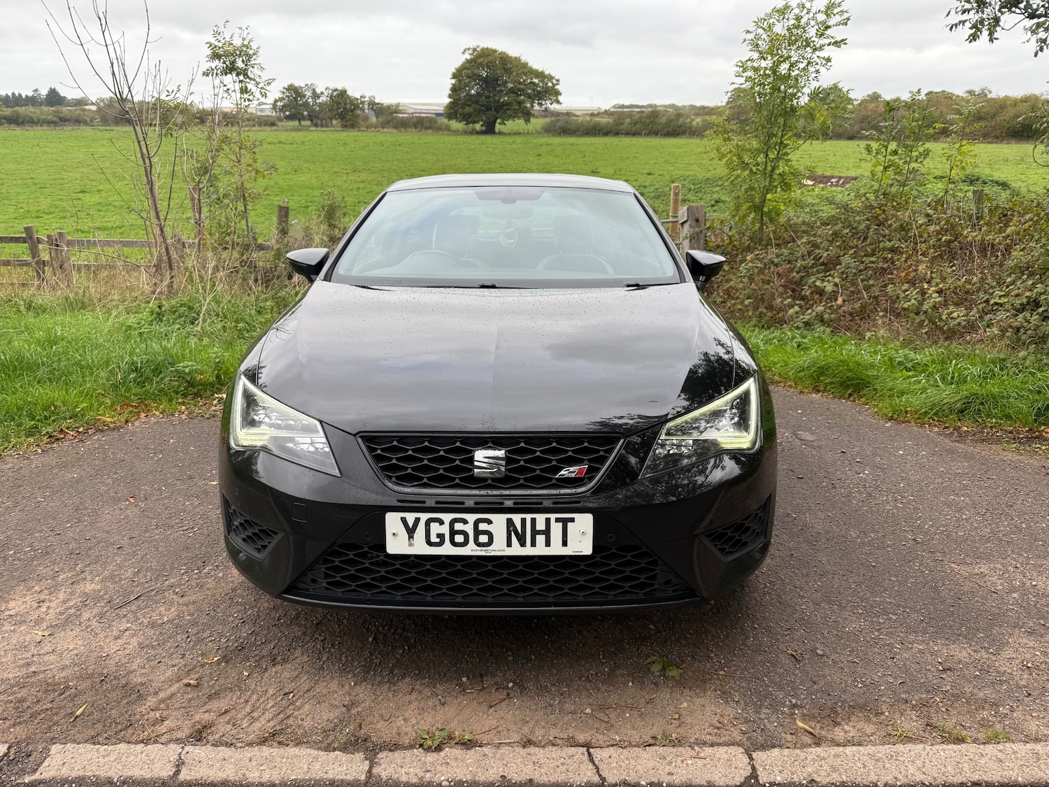 Used SEAT Leon 2016 for sale - 76698943: Photo 3