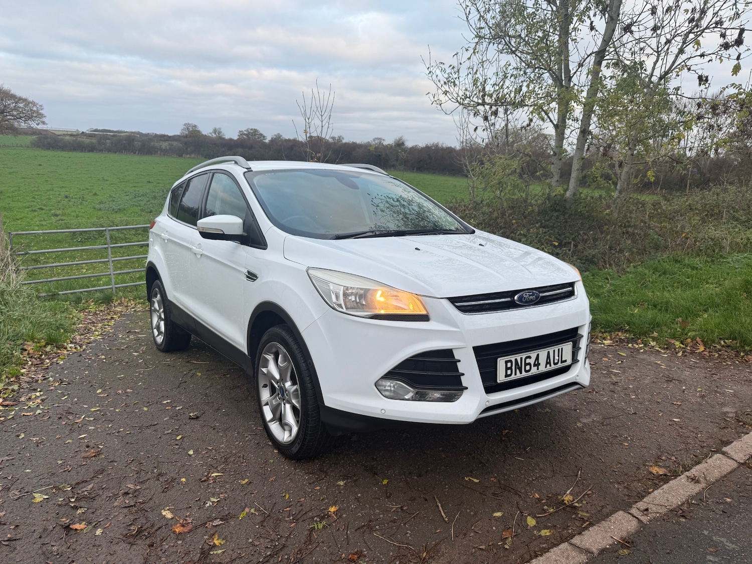 Used Ford Kuga 2014 for sale - 76589747: Photo 1