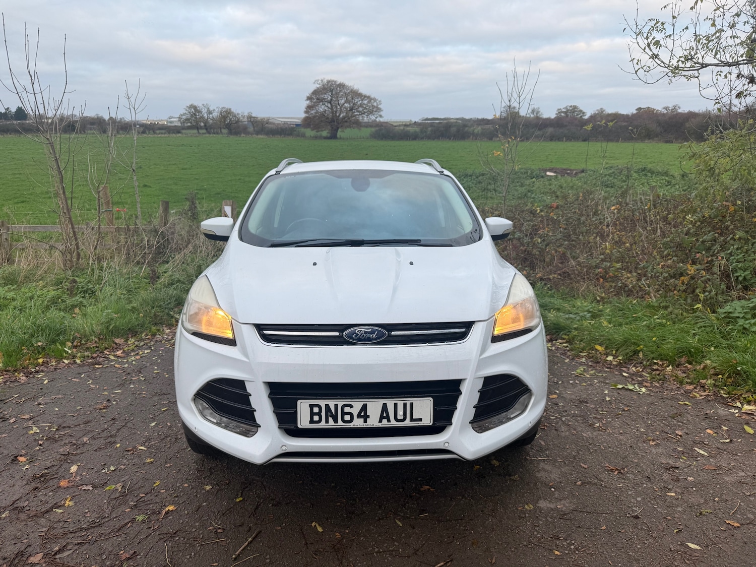 Used Ford Kuga 2014 for sale - 76589747: Photo 3