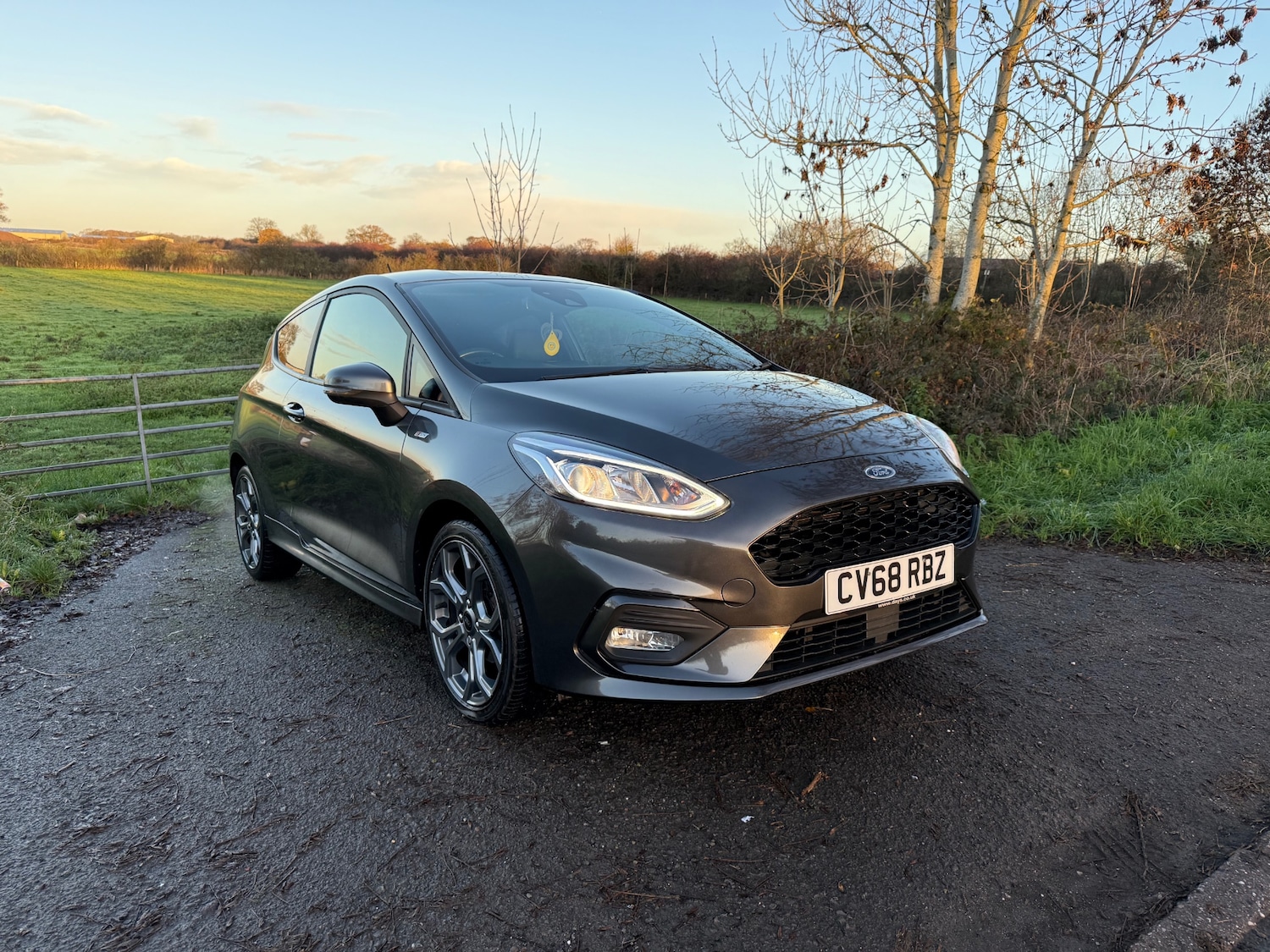 Used Ford Fiesta 2018 for sale - 76750719: Photo 1