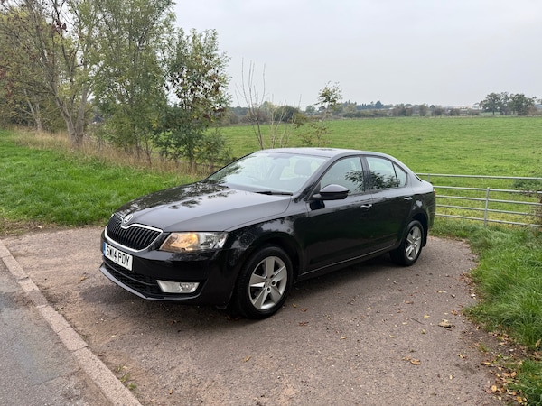 Used Skoda Octavia 2014 for sale - 76265750: Photo 2