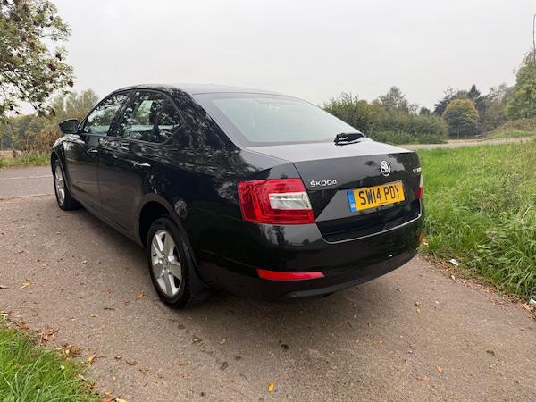 Used Skoda Octavia 2014 for sale - 76265750: Photo 4
