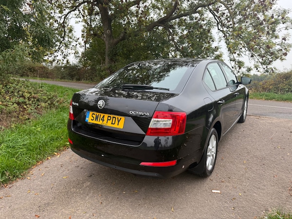 Used Skoda Octavia 2014 for sale - 76265750: Photo 5