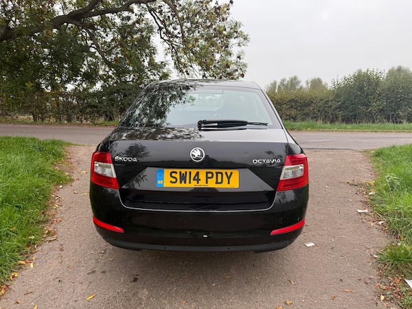 Used Skoda Octavia 2014 for sale - 76265750: Photo 6