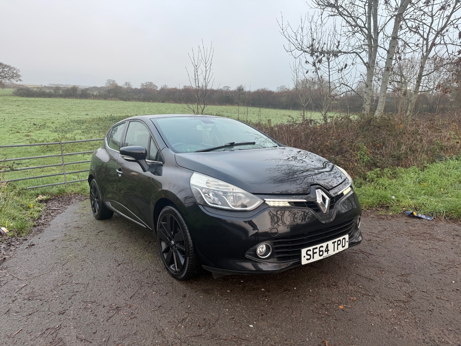 Used Renault Clio 2014 for sale - 76780543: Photo 1