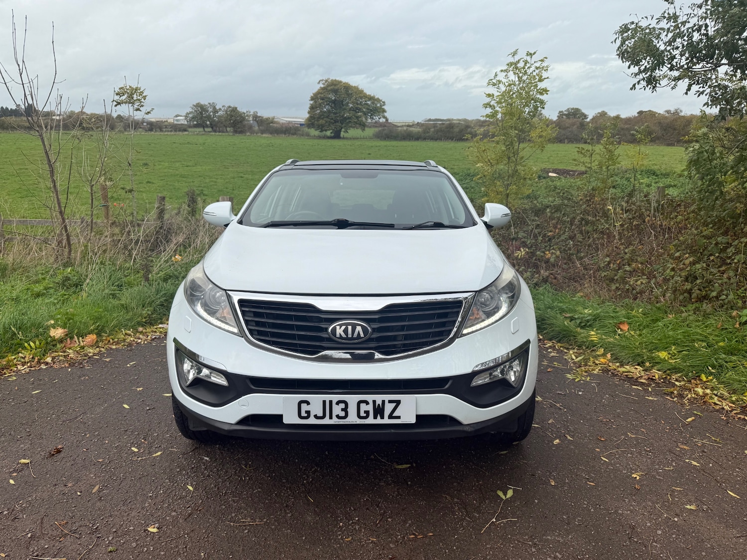 Used Kia Sportage 2013 for sale - 76831752: Photo 2