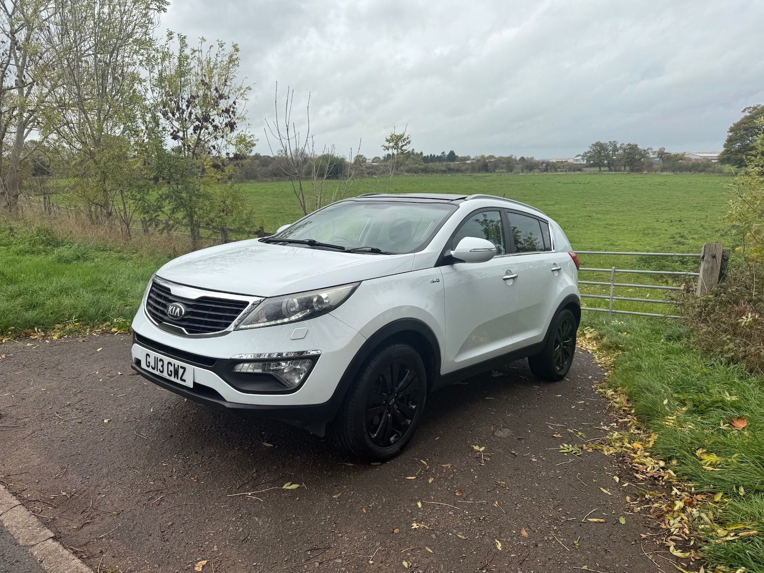 Used Kia Sportage 2013 for sale - 76831752: Photo 3