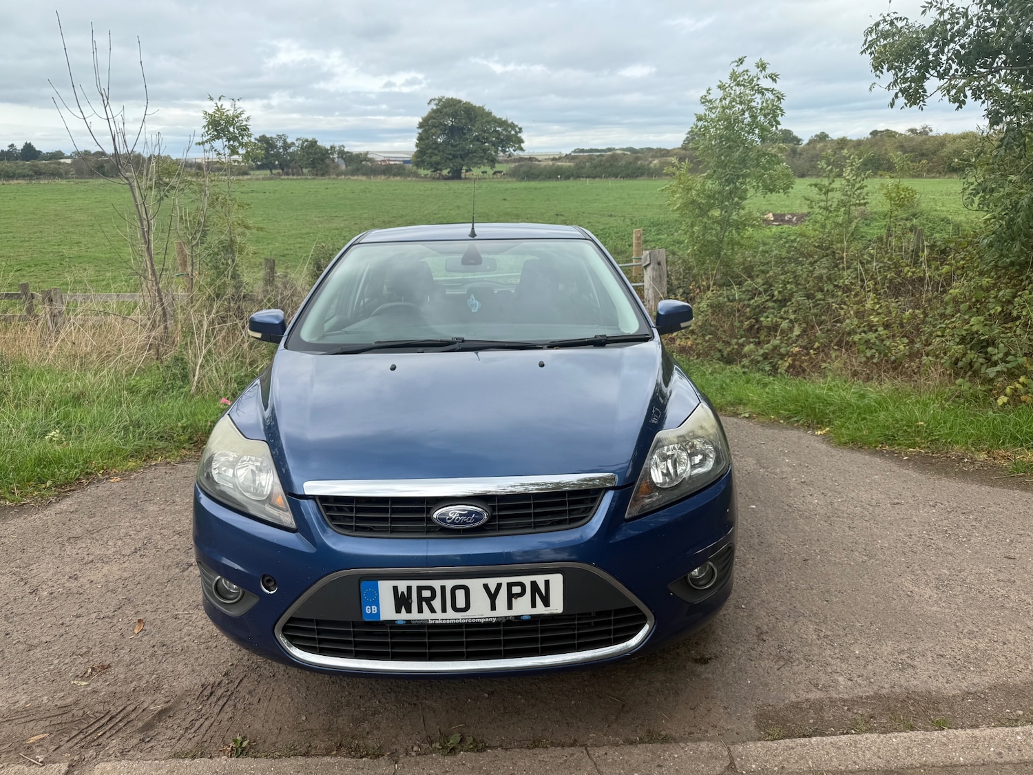 Used Ford Focus 2010 for sale - 76003850: Photo 3