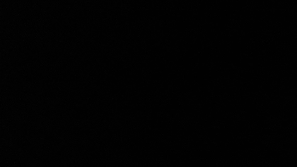 Used Audi RS4 2023 for sale - 76539900: Photo 24