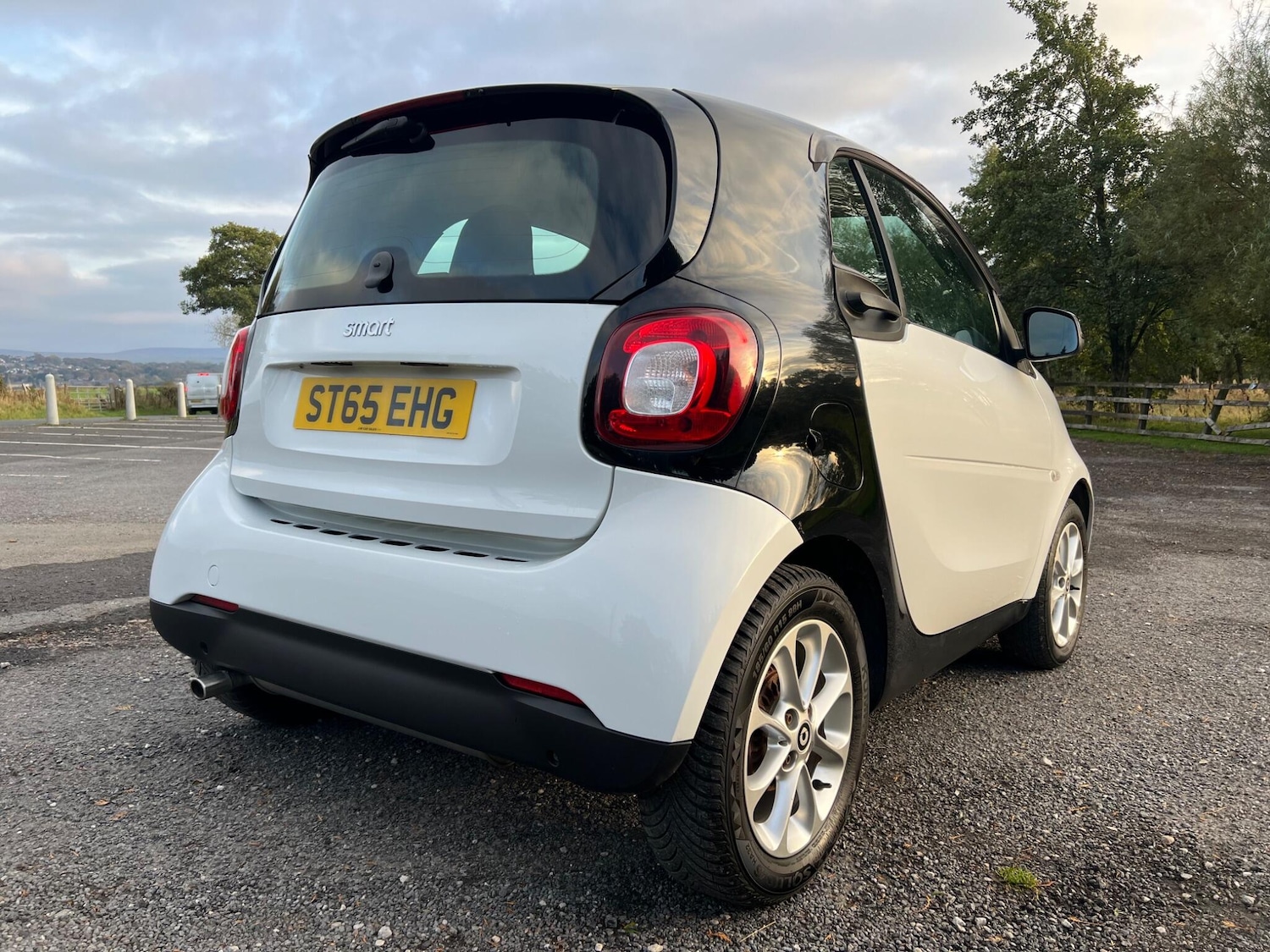 Used smart fortwo 2015 for sale - 77009930: Photo 12