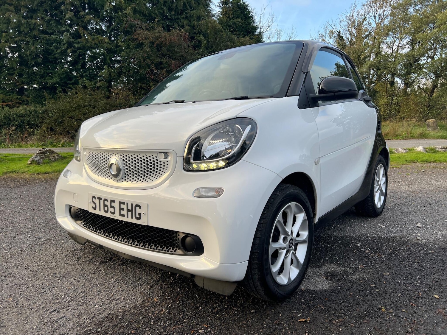 Used smart fortwo 2015 for sale - 77009930: Photo 15