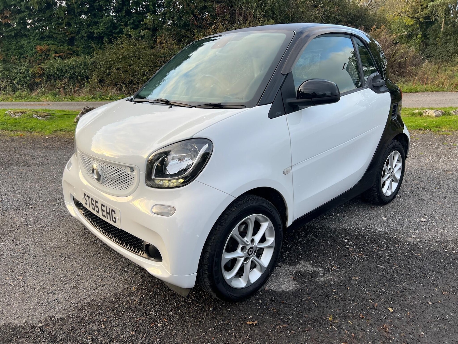 Used smart fortwo 2015 for sale - 77009930: Photo 3
