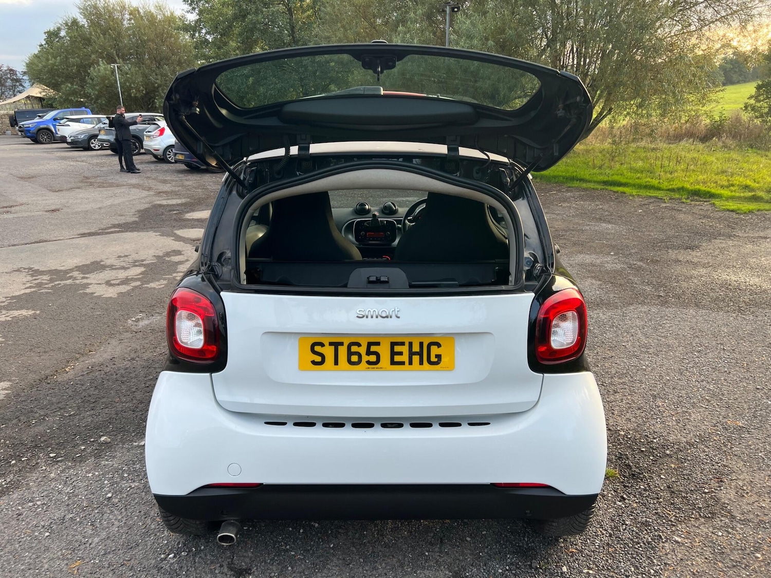 Used smart fortwo 2015 for sale - 77009930: Photo 43