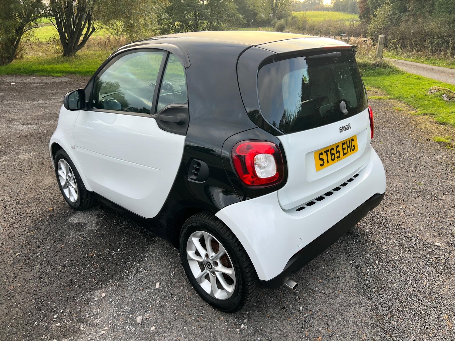 Used smart fortwo 2015 for sale - 77009930: Photo 5