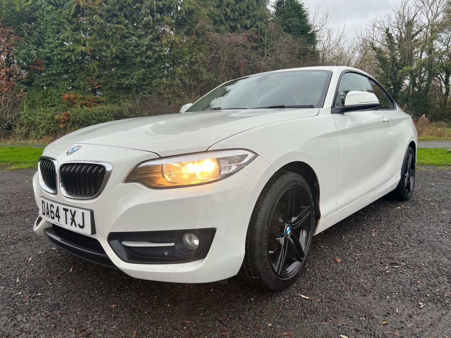 Used BMW 2 Series 2014 for sale - 76549433: Photo 10