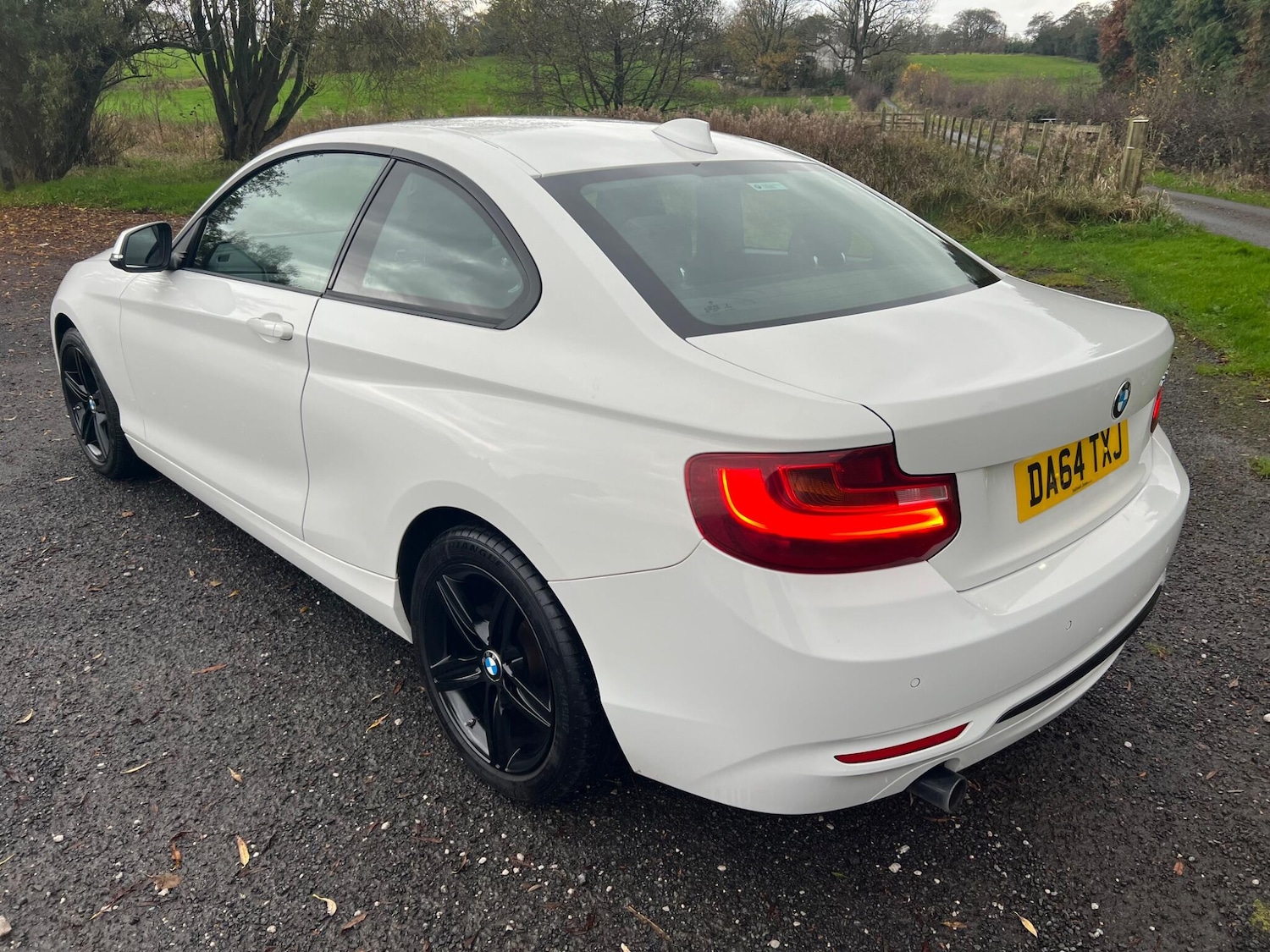 Used BMW 2 Series 2014 for sale - 76549433: Photo 3