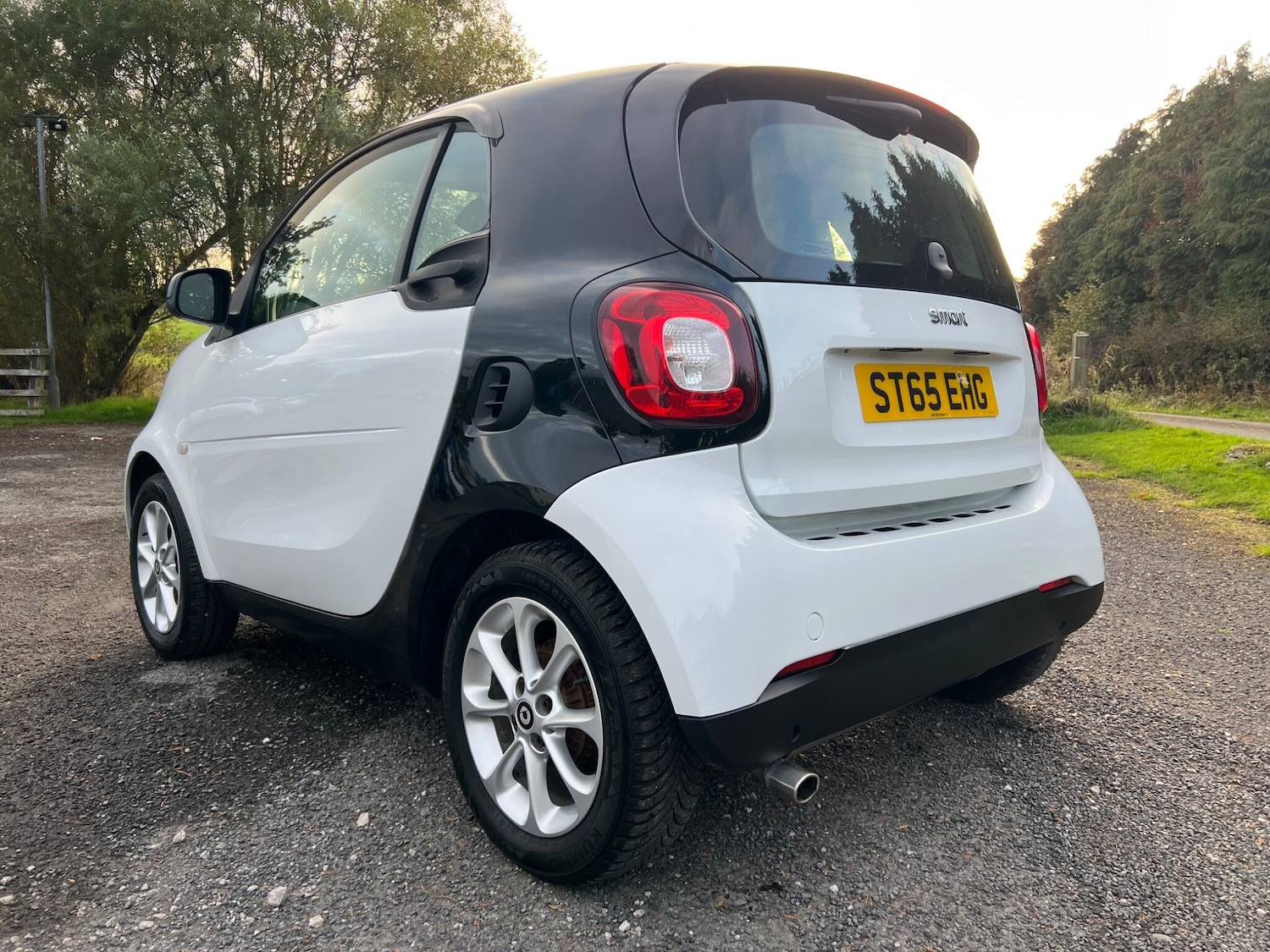 Used smart fortwo 2015 for sale - 76413415: Photo 14