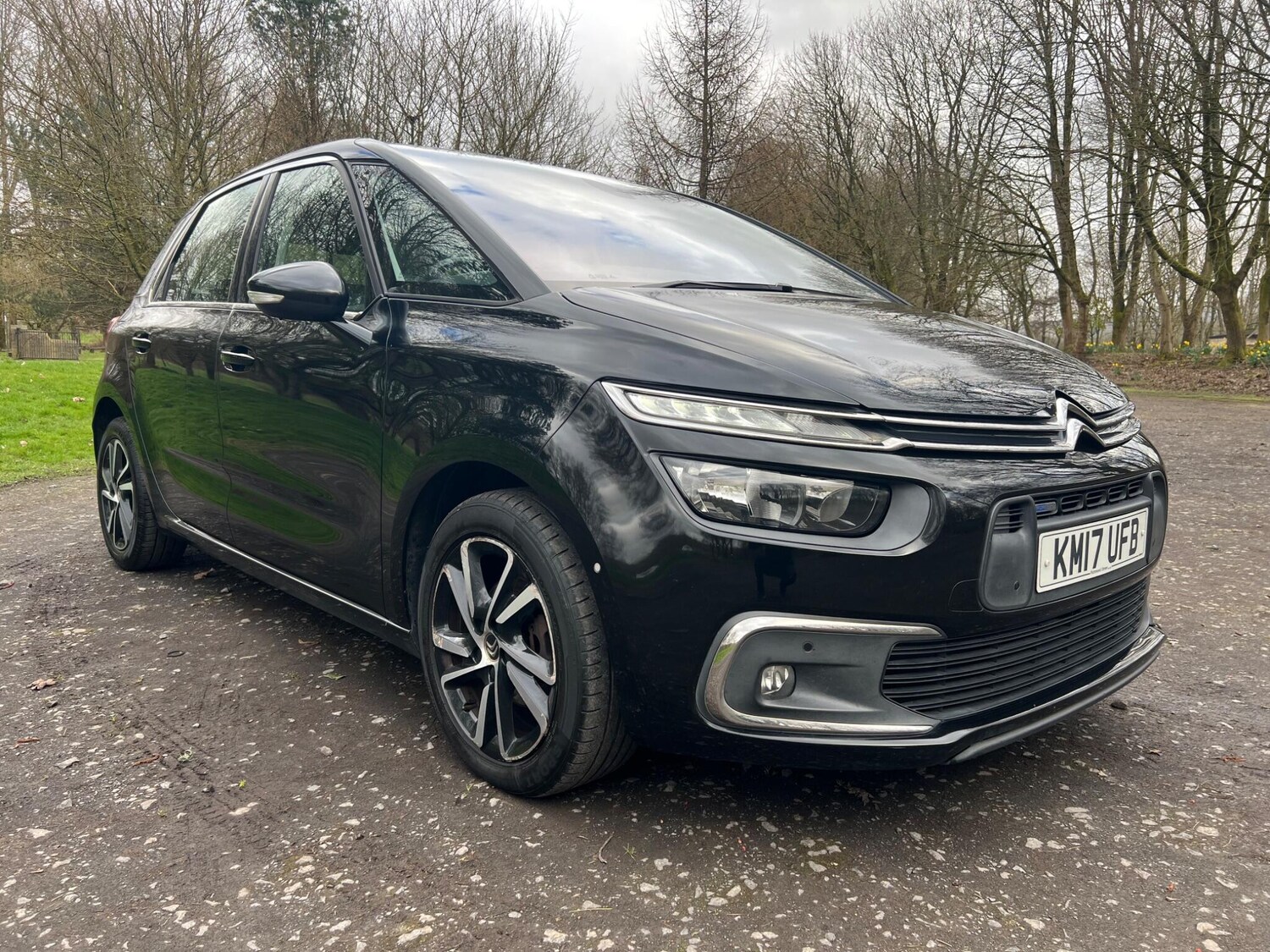 Used Citroen C4 Picasso 2017 for sale - 77838819: Photo 11