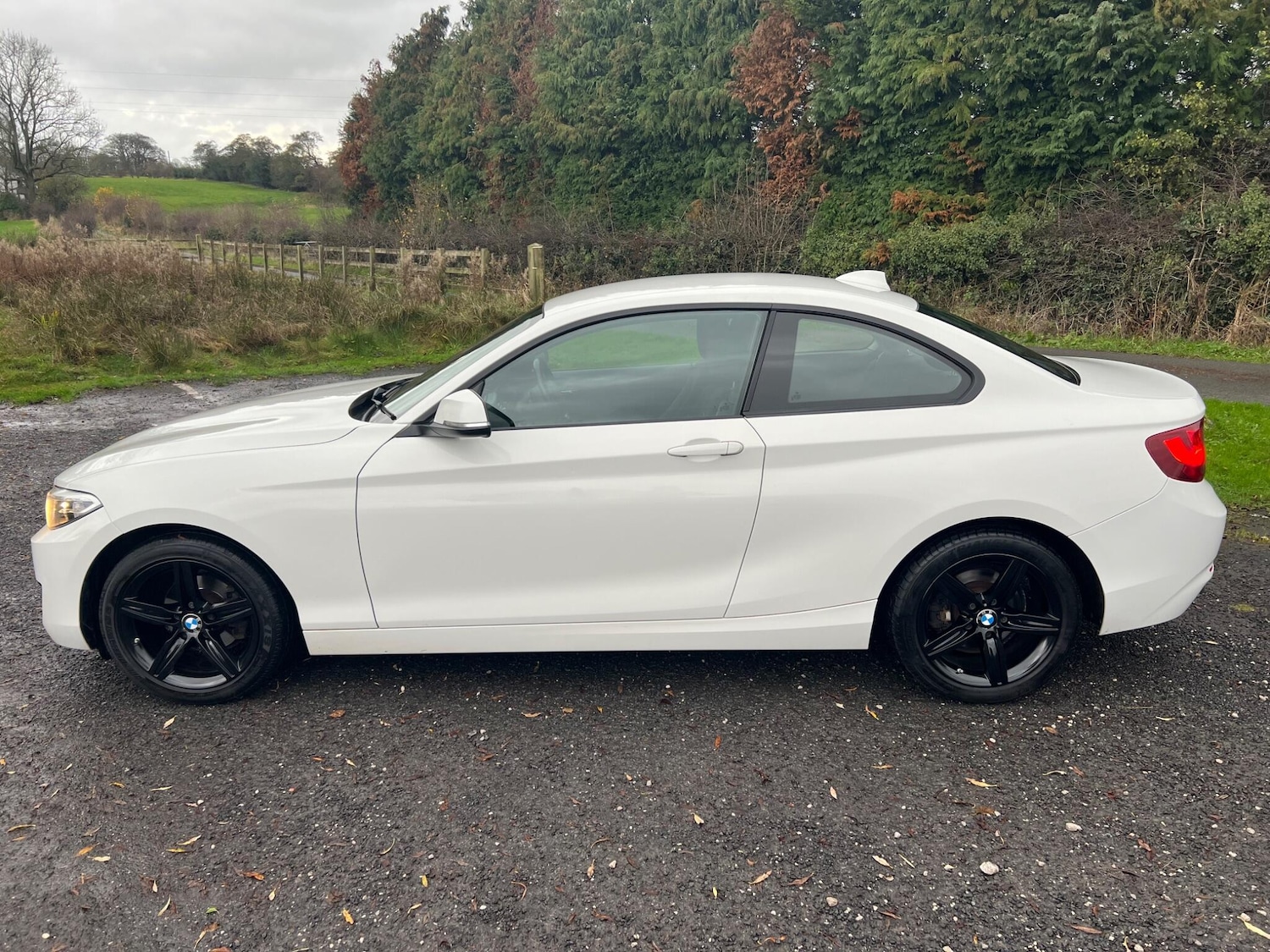 Used BMW 2 Series for sale - 77424602: Photo 2