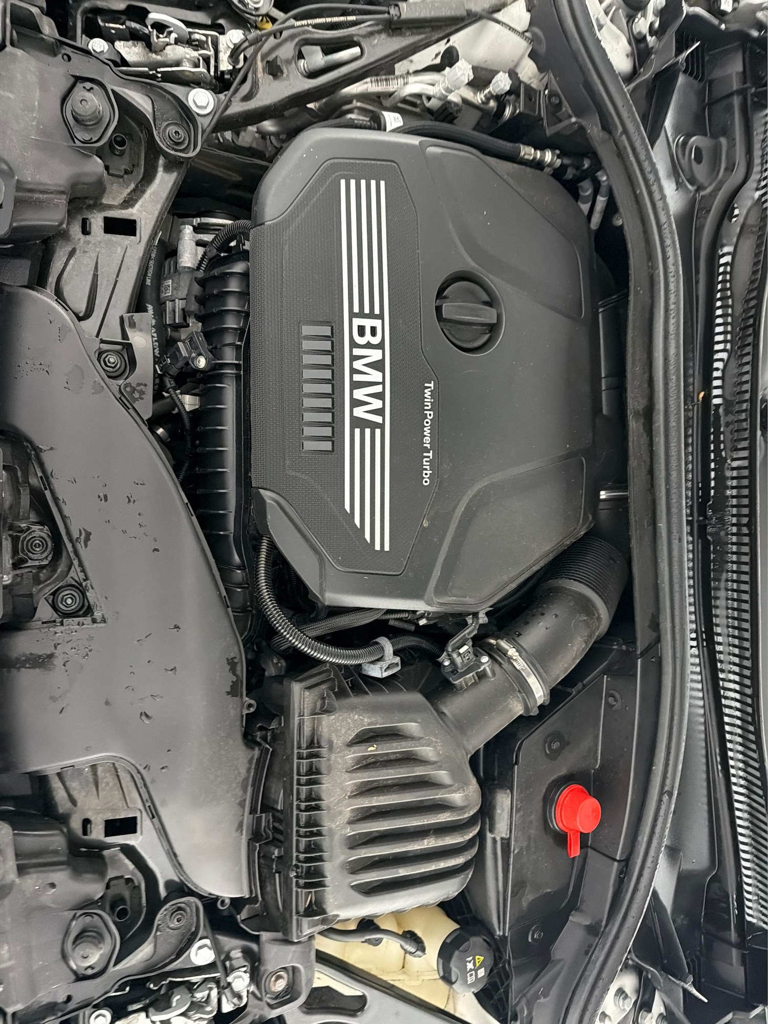 Used BMW 1 Series 2023 for sale - 78012501: Photo 30