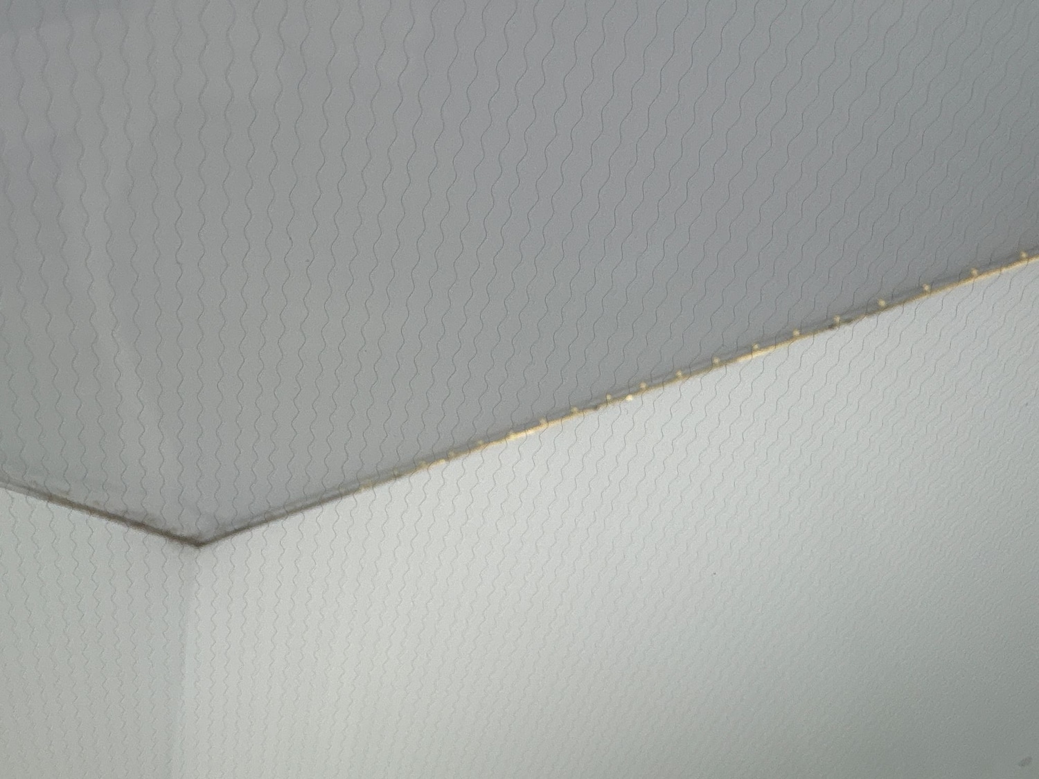 Used Ford Fiesta 2020 for sale - 77804199: Photo 22