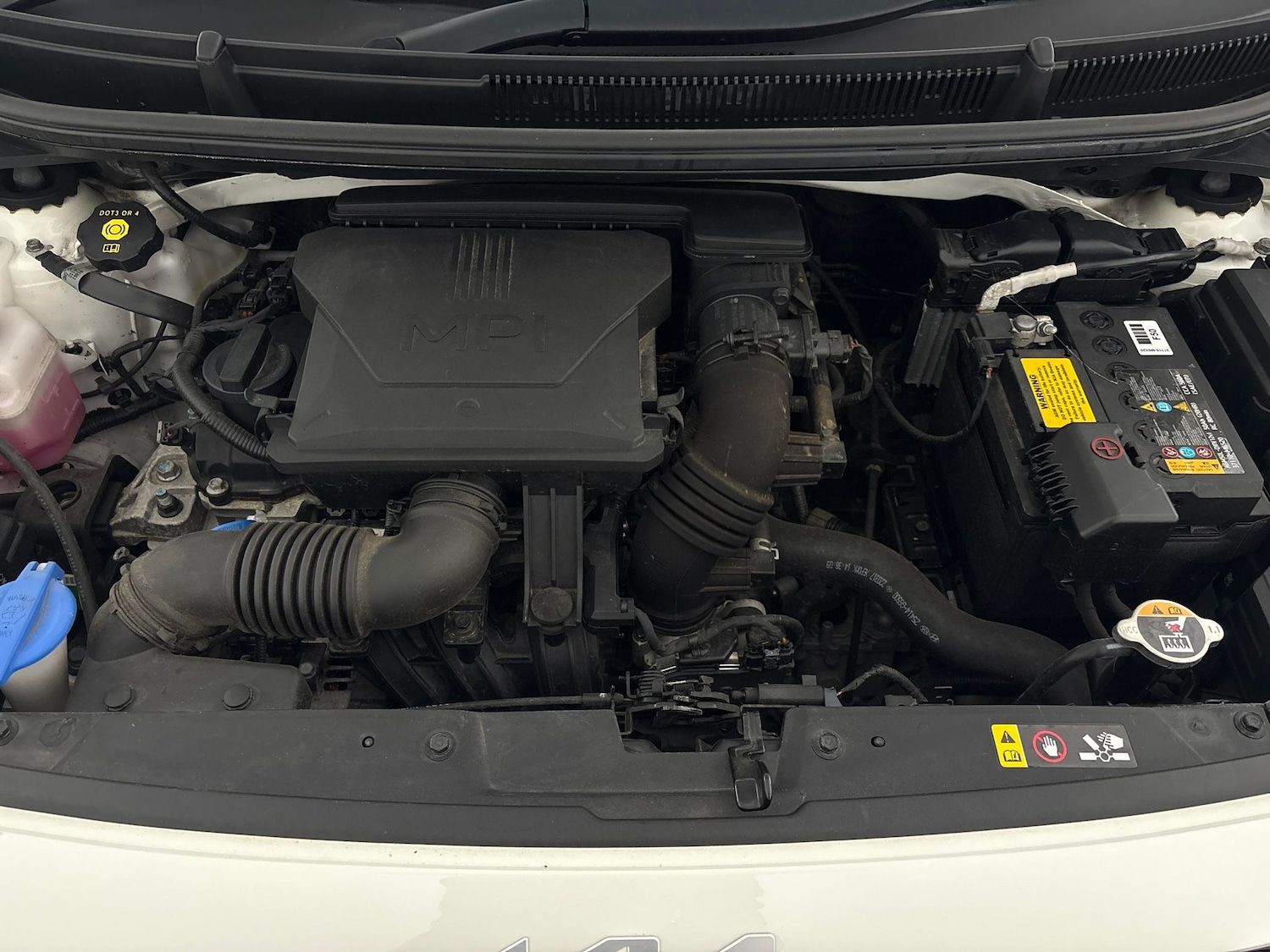 Used Kia Picanto for sale - 76491930: Photo 29