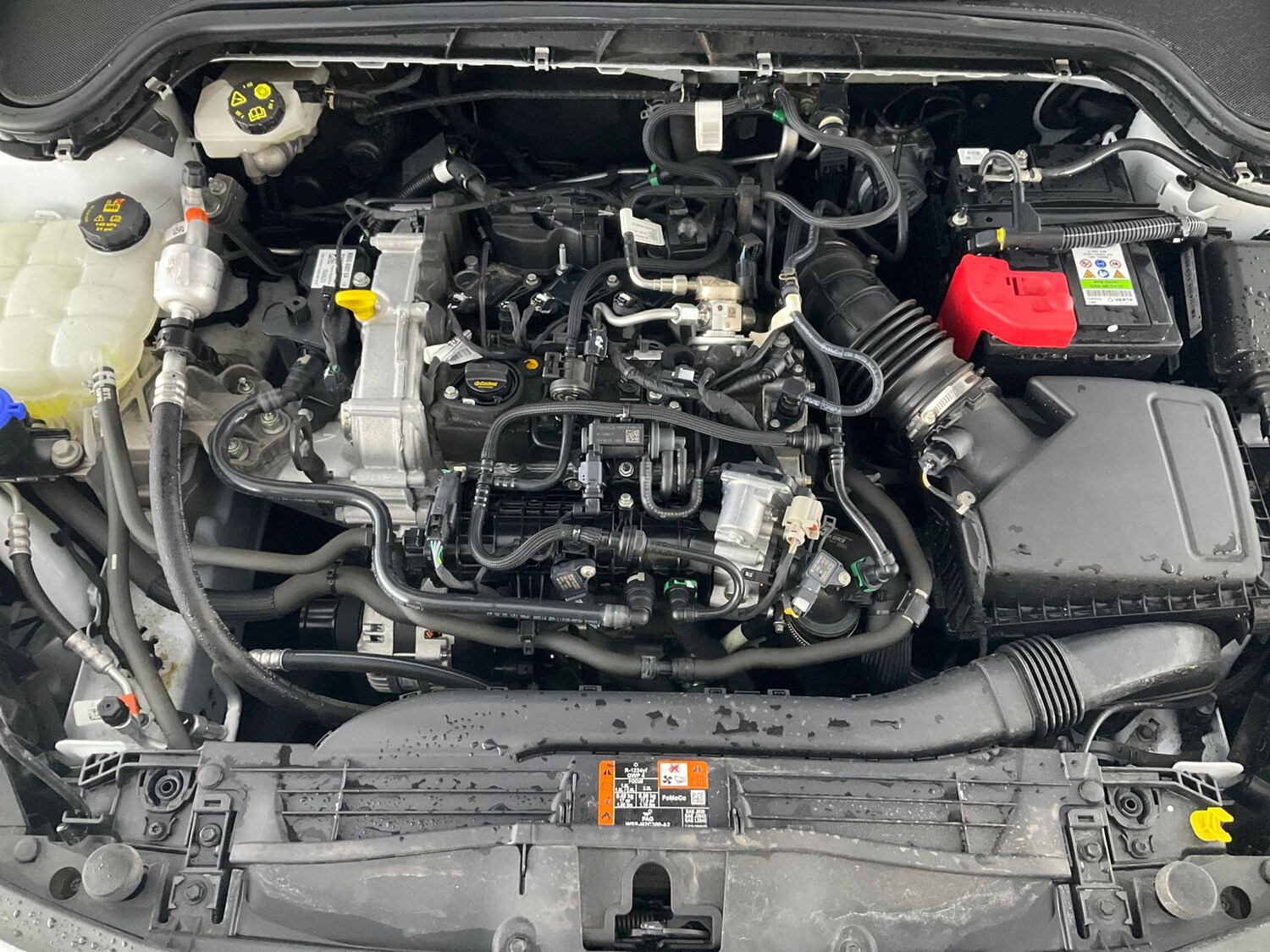 Used Ford Focus 2023 for sale - 76413083: Photo 46