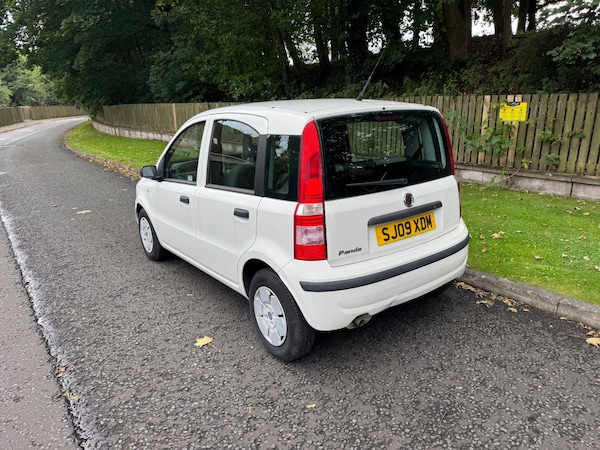 Used Fiat Panda 2009 for sale - 76011999: Photo 6