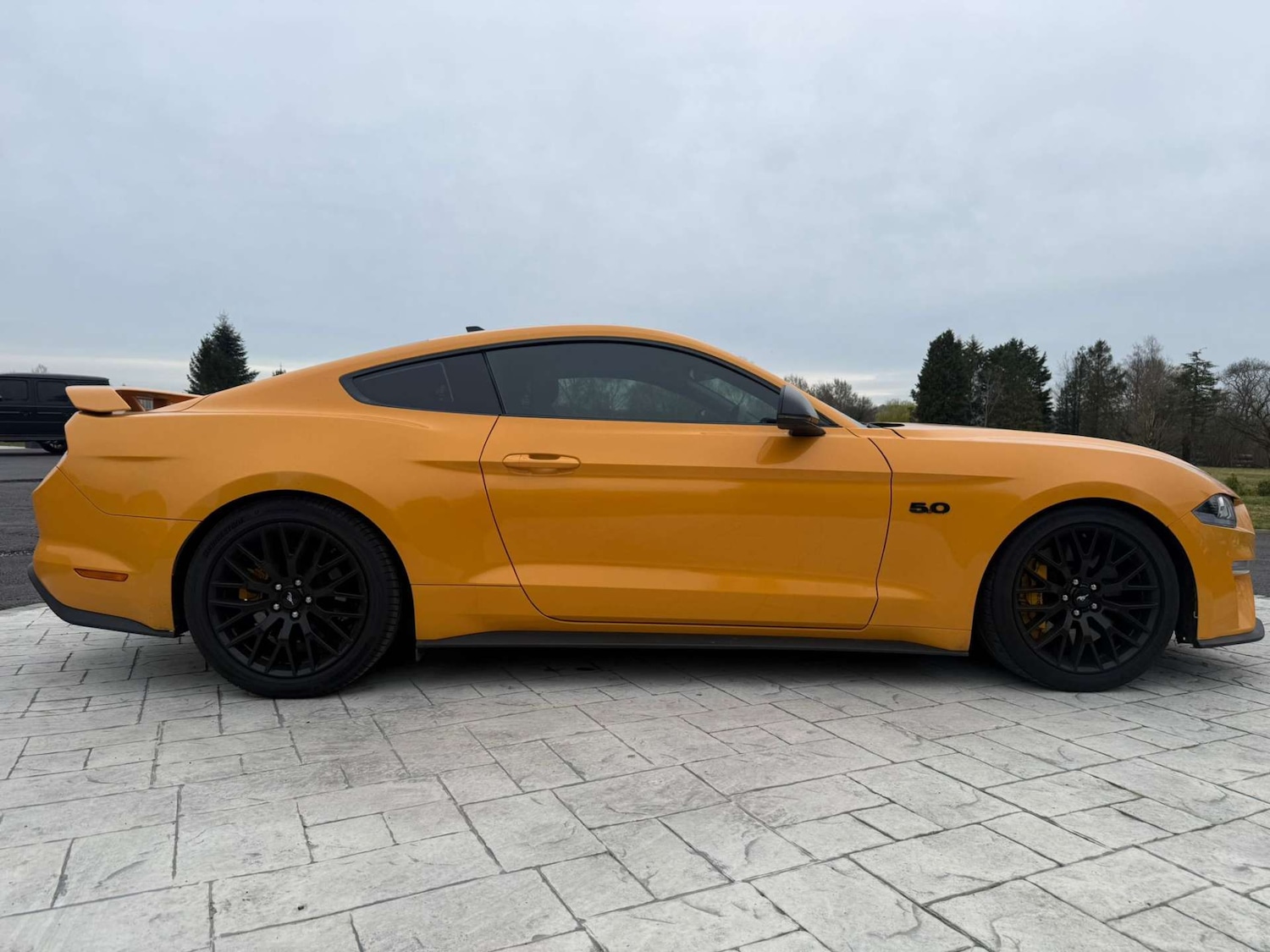 Used Ford Mustang 2022 for sale - 78016403: Photo 5