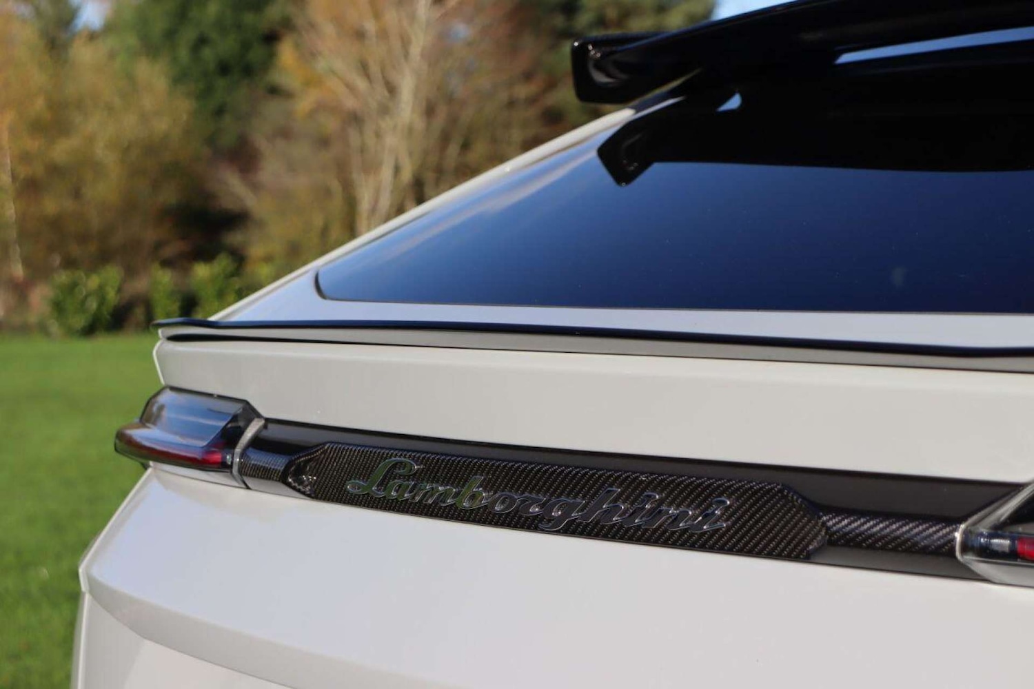 Used Lamborghini Urus 2024 for sale - 77519296: Photo 26