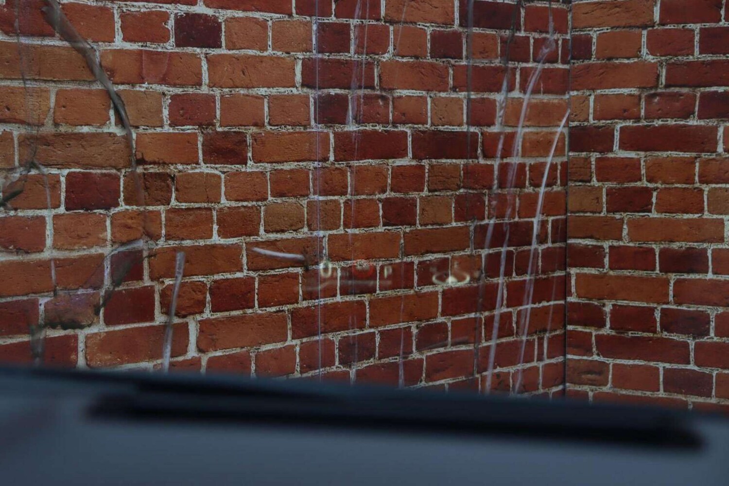 Used Toyota Corolla 2021 for sale - 77519258: Photo 32