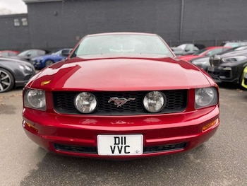 Used Ford Mustang undefined for sale - 77519287: Photo