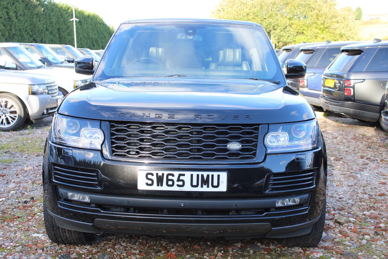 Used Land Rover Range Rover 2015 for sale - 76992415: Photo 35