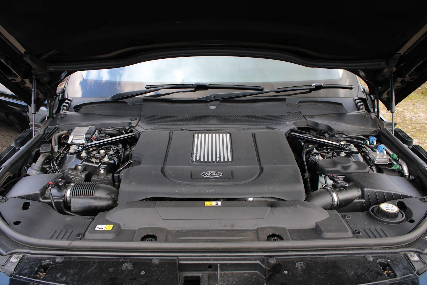 Vehicle 44
