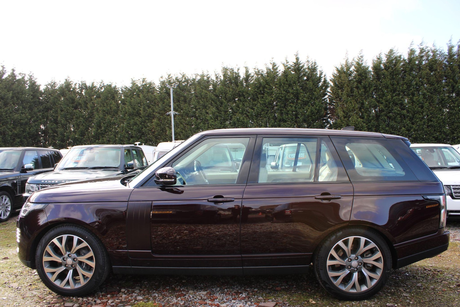 Used Land Rover Range Rover 2018 for sale - 78058245: Photo 6