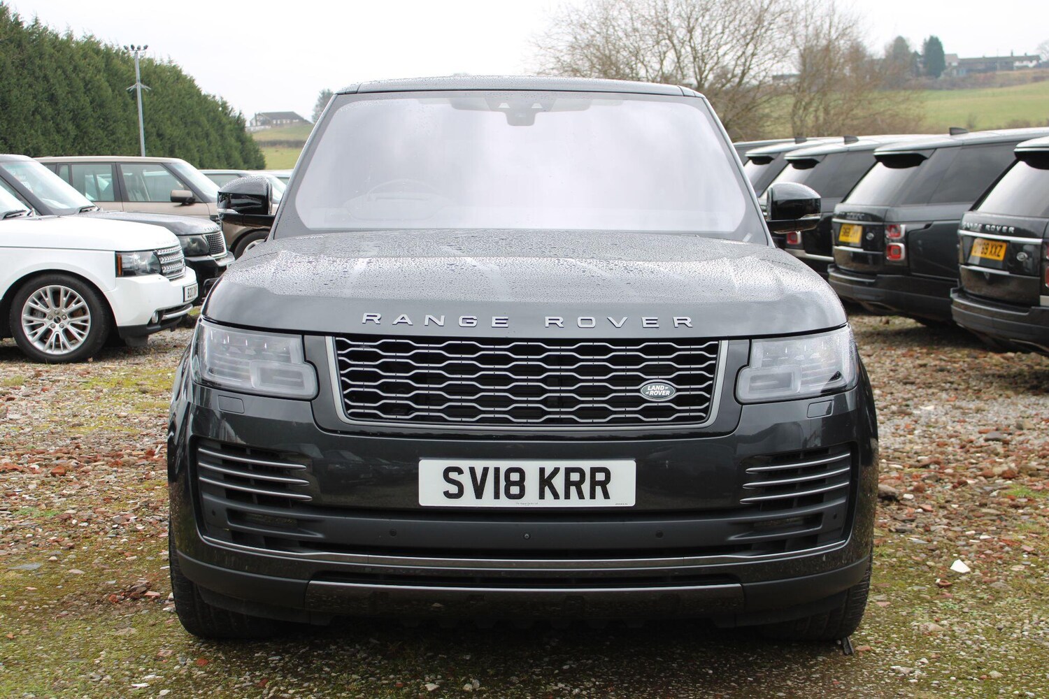 Used Land Rover Range Rover for sale - 77411307: Photo 51