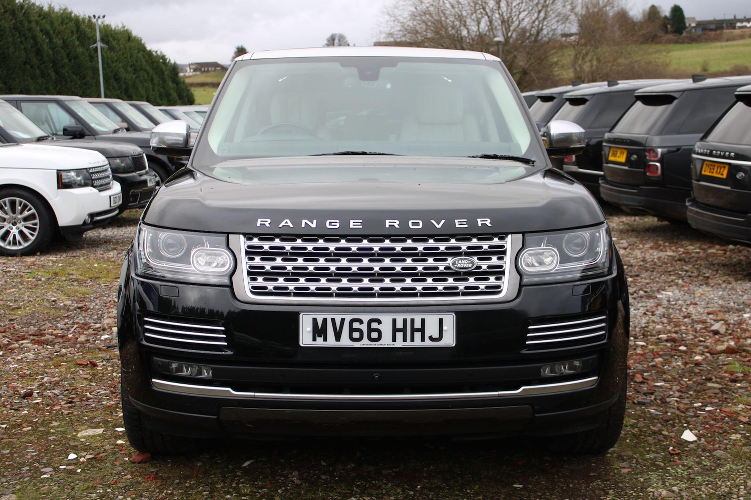 Used Land Rover Range Rover 2016 for sale - 77291839: Photo 45