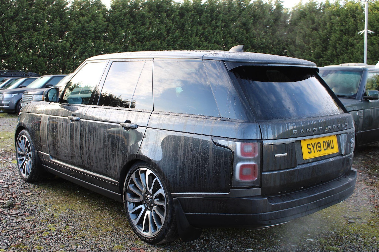 Used Land Rover Range Rover 2019 for sale - 76935784: Photo 3