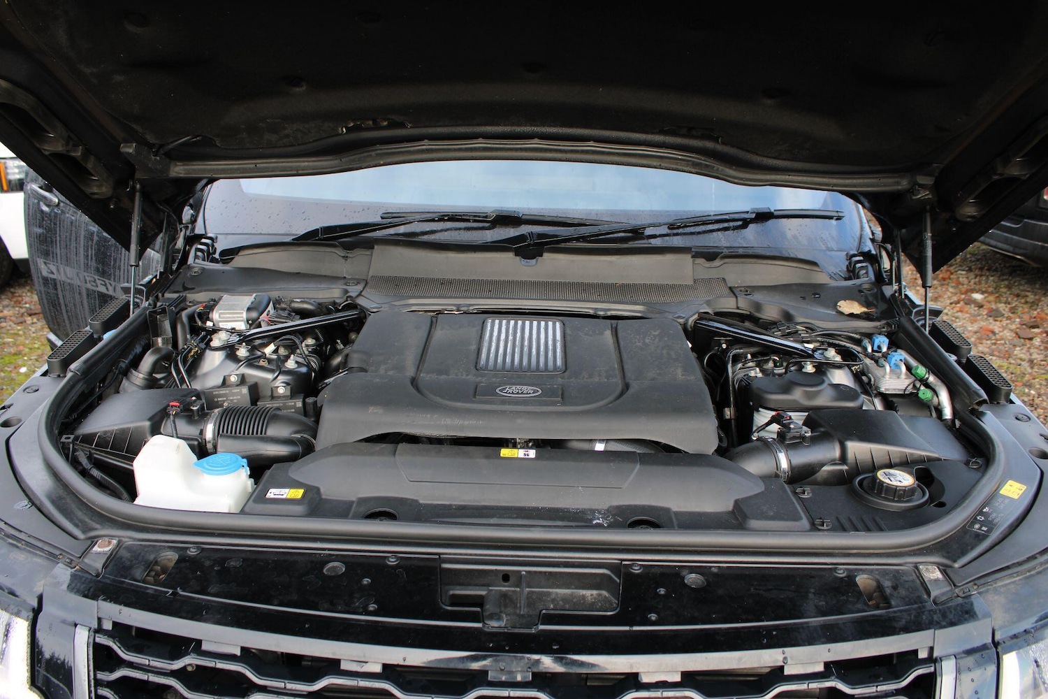 Used Land Rover Range Rover 2019 for sale - 76935784: Photo 59